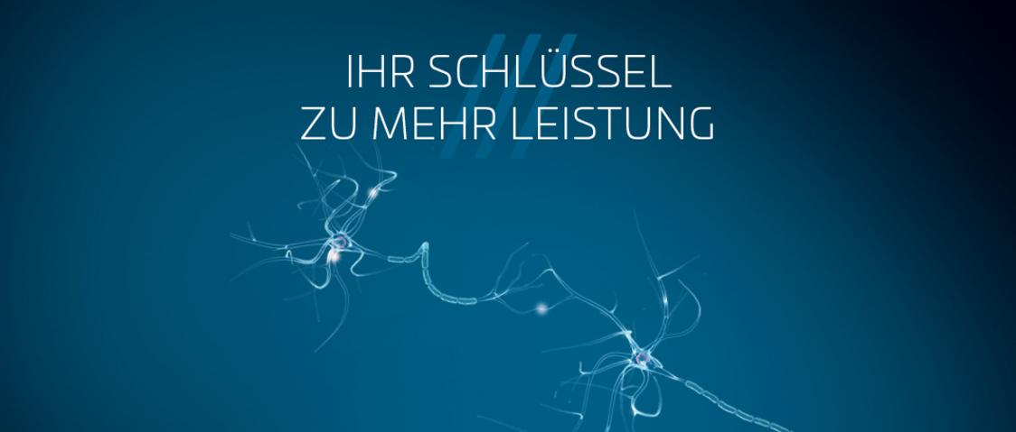 CHECK ID Kampagnenmotiv Neuronen